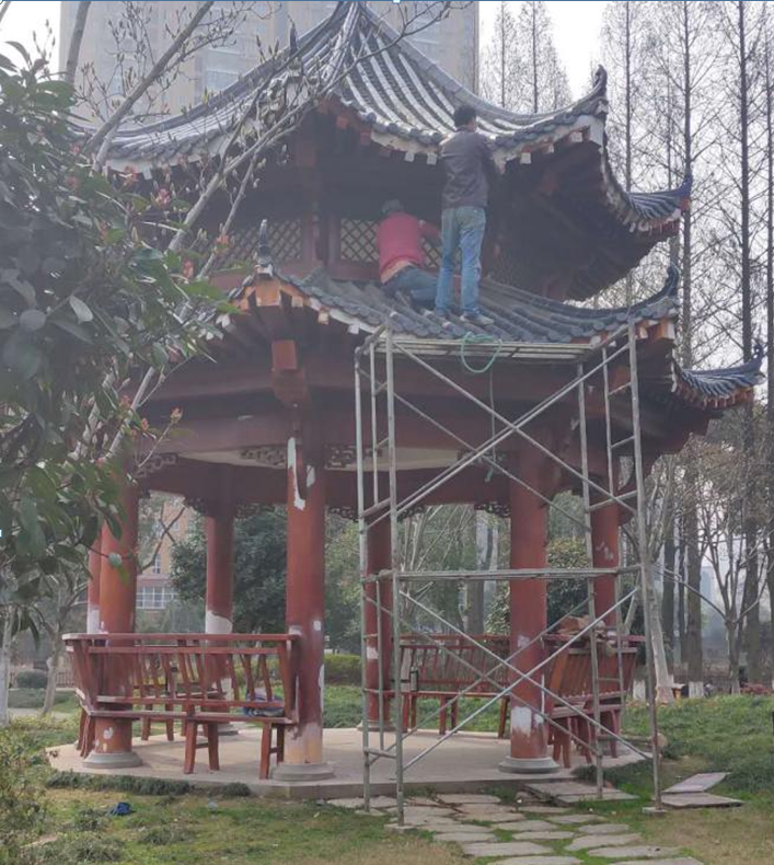 抓时节 整环境 科研院旧貌换新颜