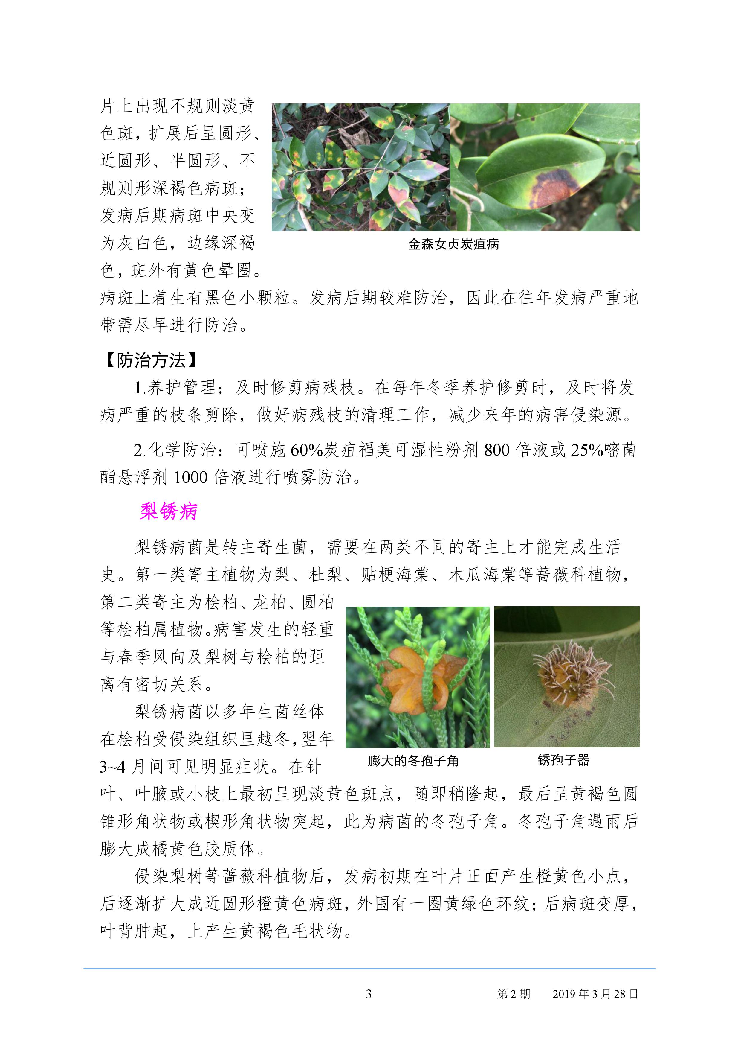 园林病虫害预测预报