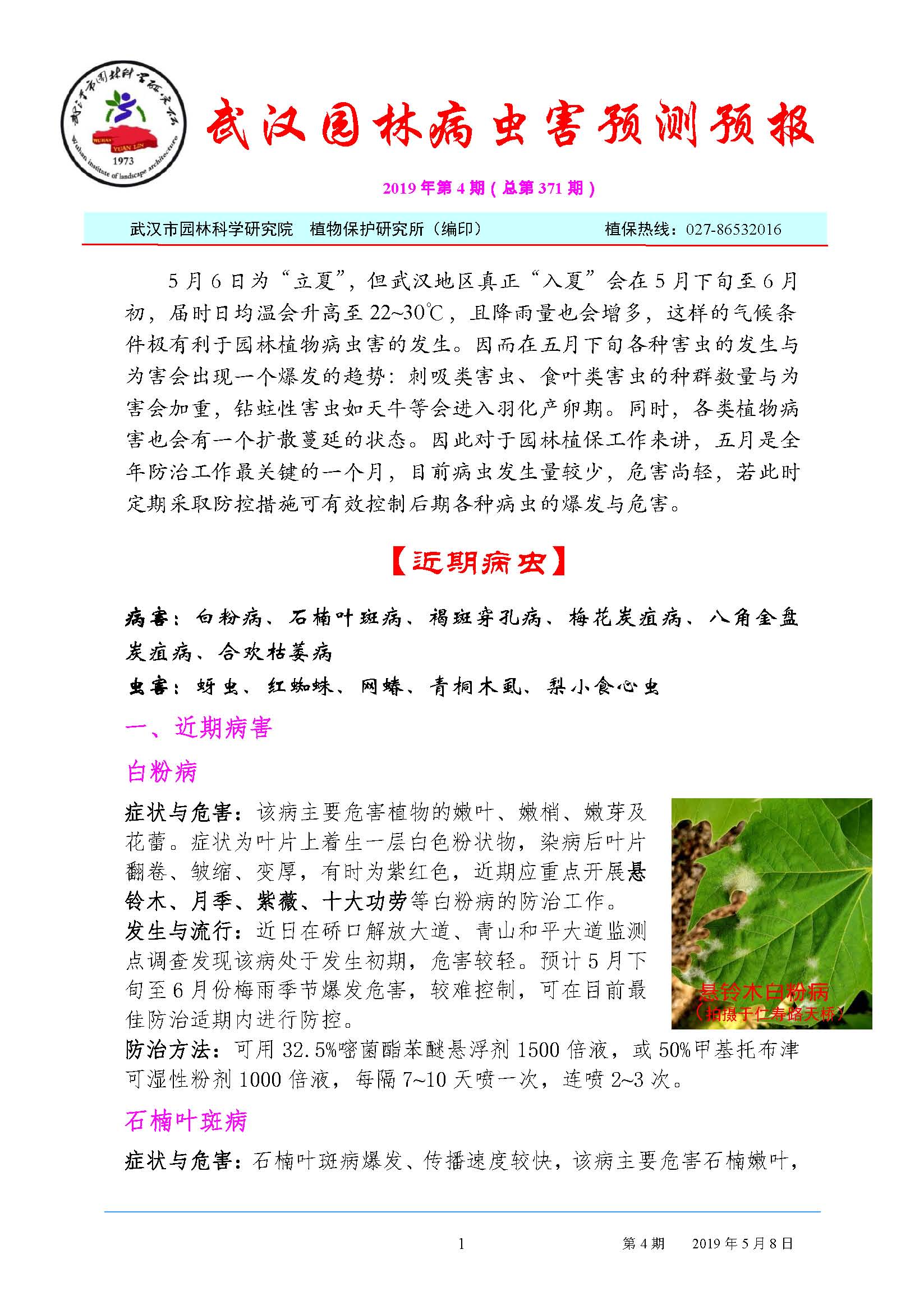 武汉园林病虫害预测预报2019年第4期