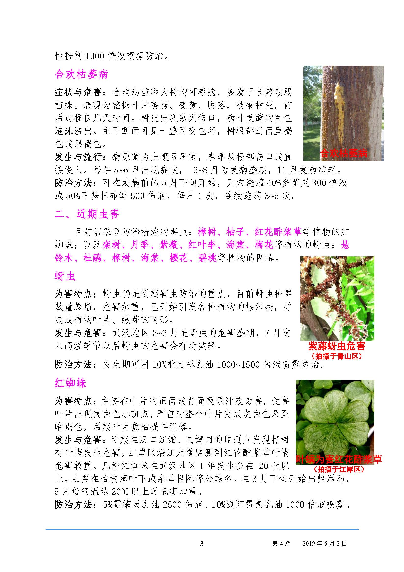 武汉园林病虫害预测预报2019年第4期