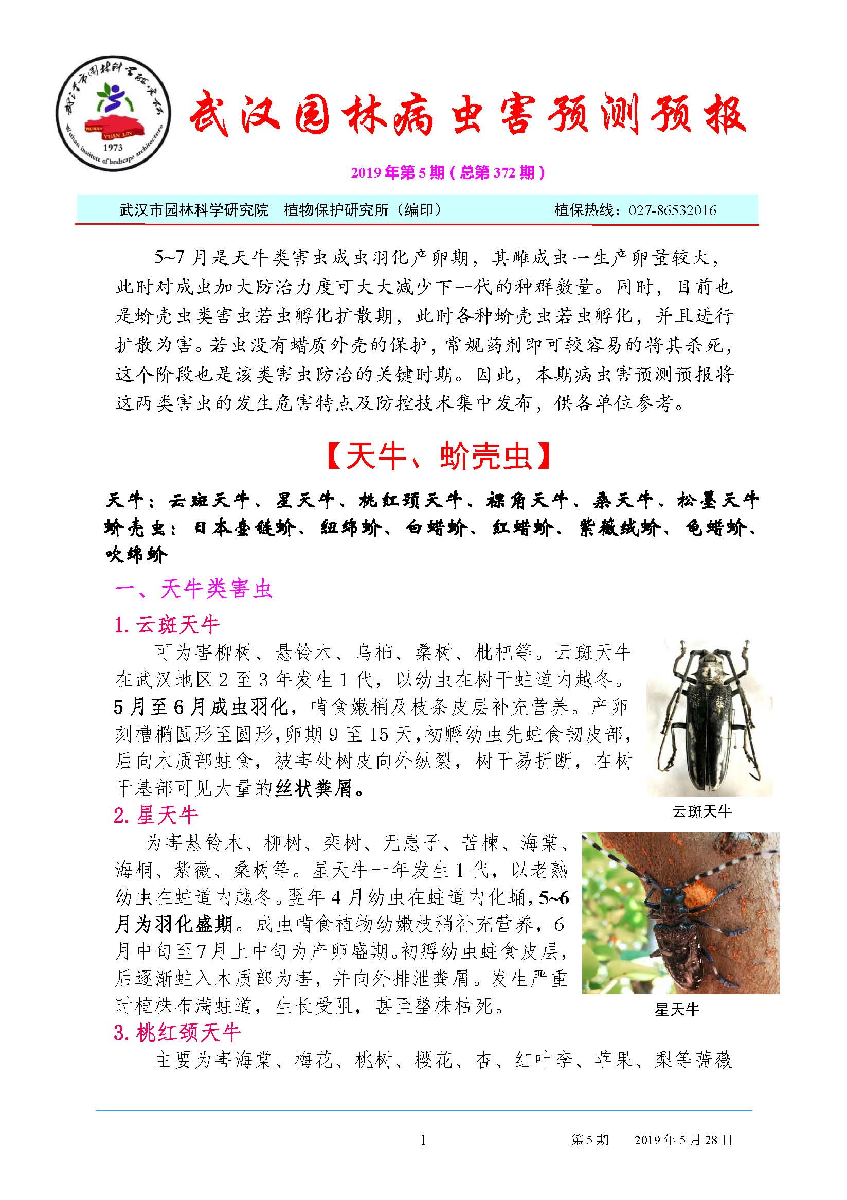 园林病虫害预测预报2019年第5期
