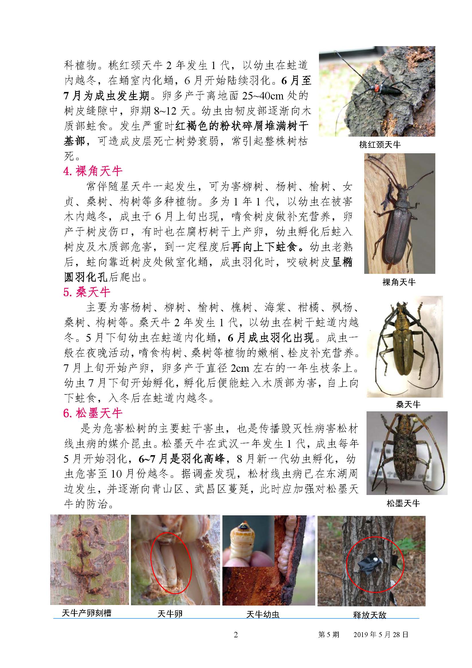 园林病虫害预测预报2019年第5期
