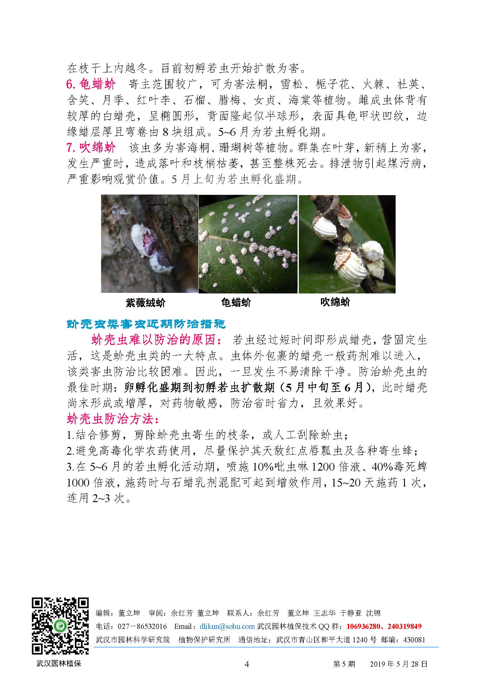 园林病虫害预测预报2019年第5期