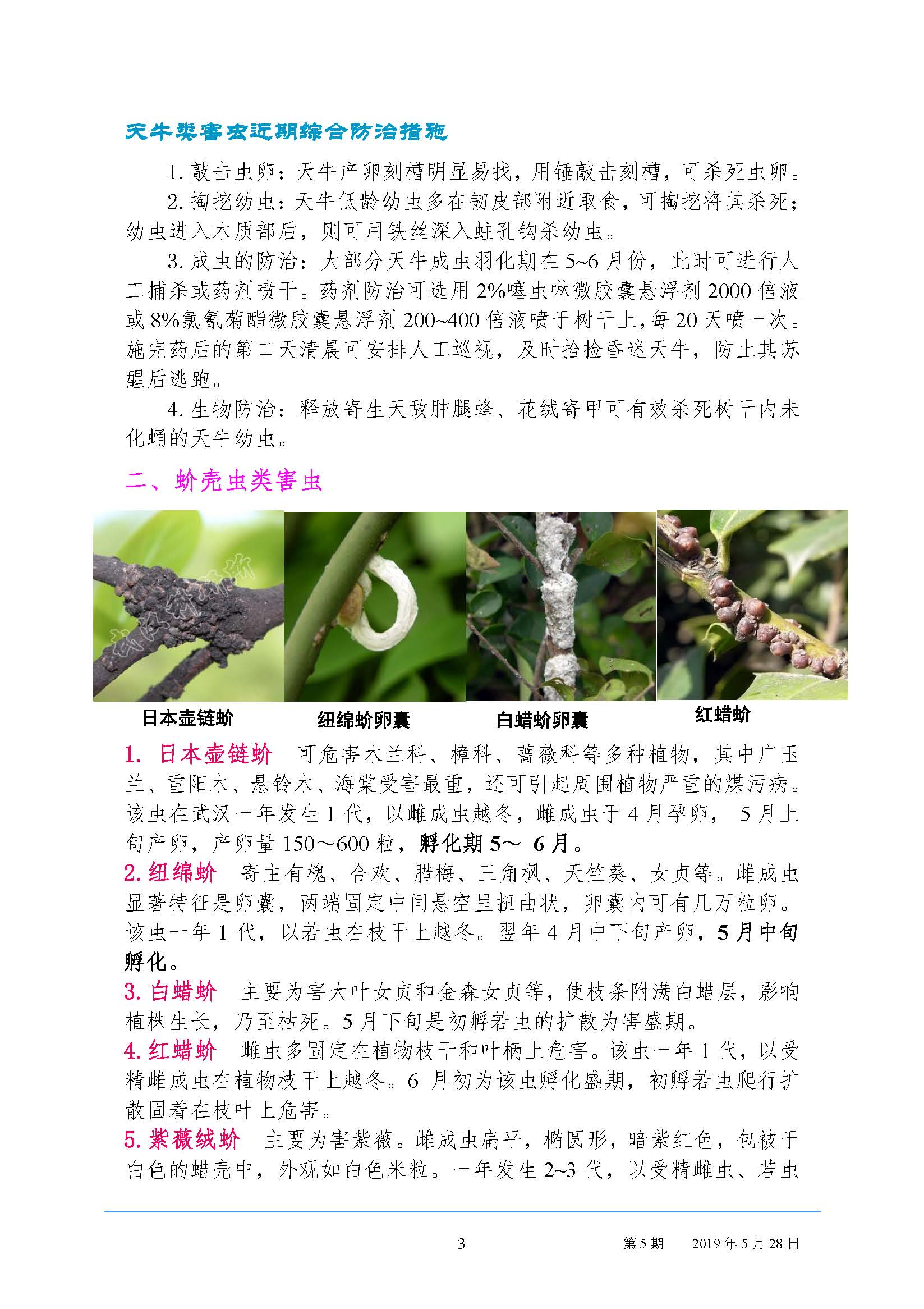 园林病虫害预测预报2019年第5期