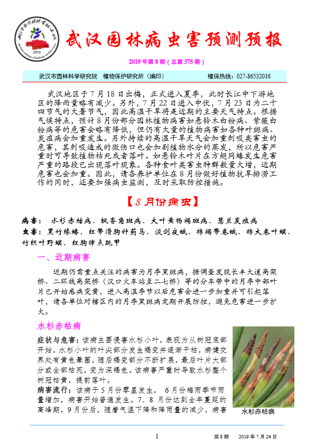 武汉园林病虫害预测预报 2019 年第 8 期