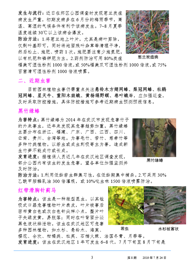 武汉园林病虫害预测预报 2019 年第 8 期
