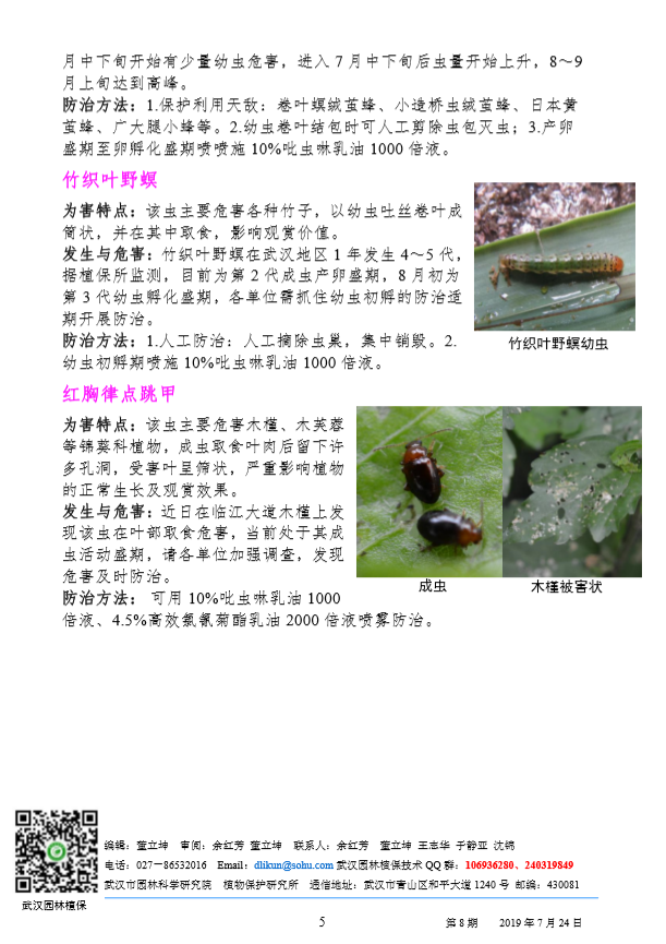 武汉园林病虫害预测预报 2019 年第 8 期
