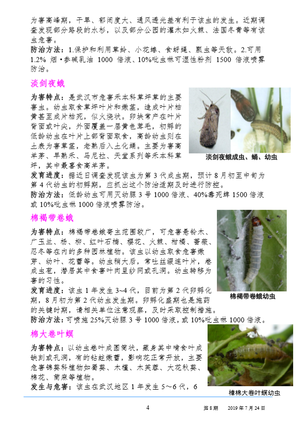 武汉园林病虫害预测预报 2019 年第 8 期