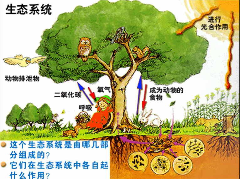 2019全国科普日――武汉市园林科学研究院市民园林学校
