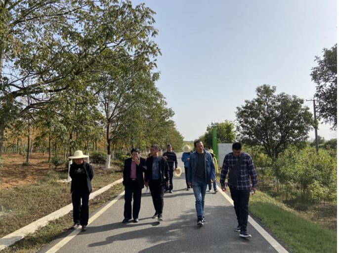 树立绿色意识，强化科技支撑