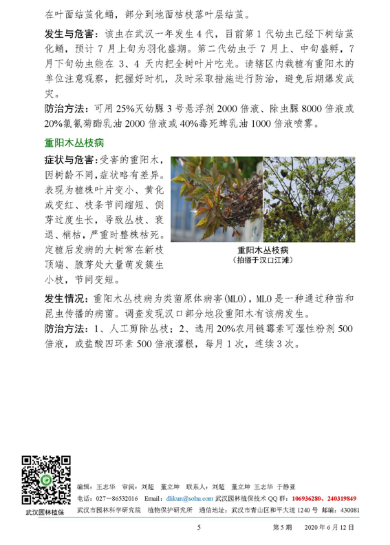 武汉园林病虫害预测预报 2020年第5期