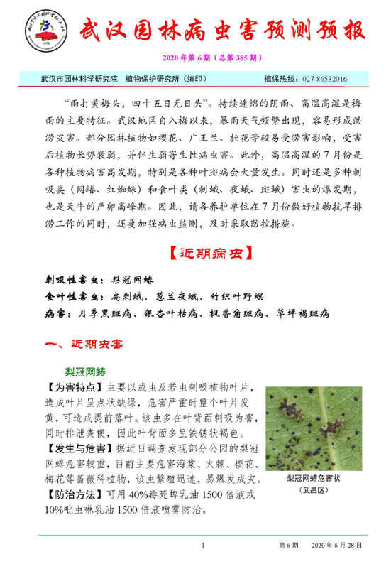 武汉园林病虫害预测预报 2020年第6期