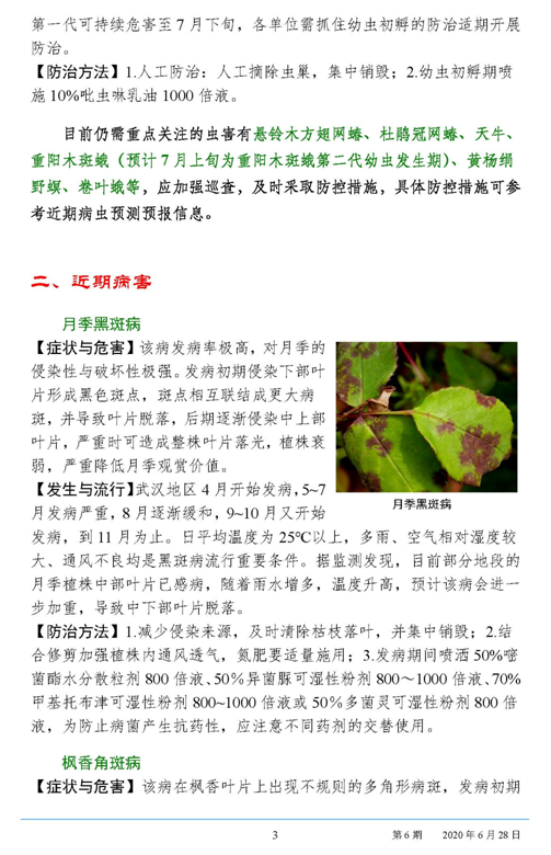 武汉园林病虫害预测预报 2020年第6期