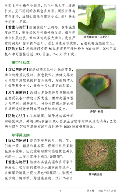 武汉园林病虫害预测预报 2020年第6期