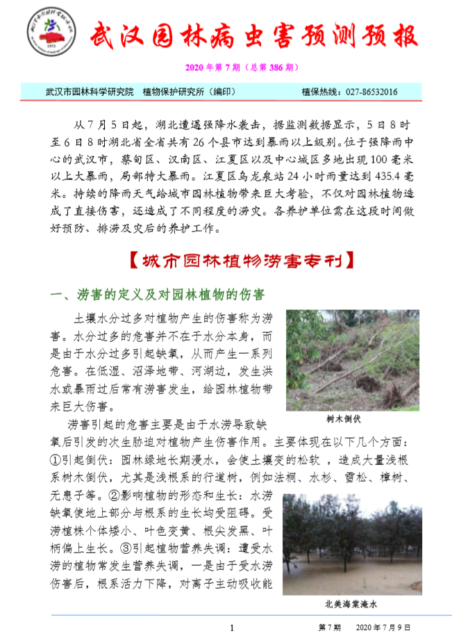 防汛科研两不误，压实责任保安全