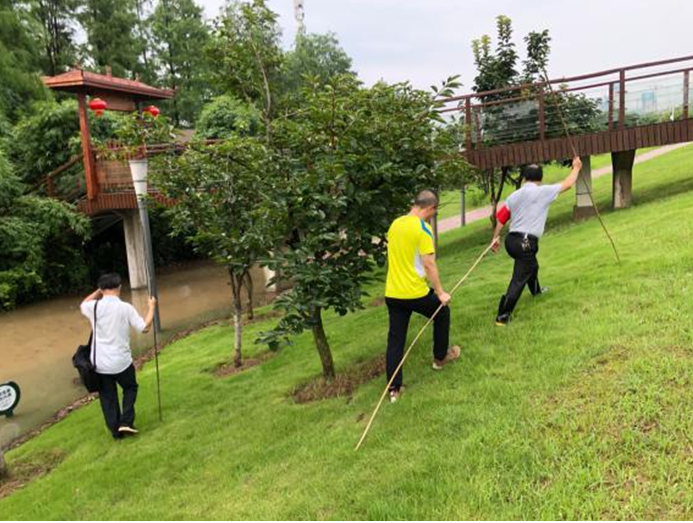 防汛科研两不误，压实责任保安全