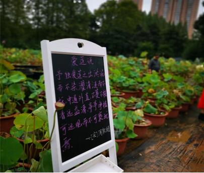 “探秘――《爱莲说》里藏有多少个荷花之谜”――记2020全国科普日武汉市园林科学研究院 市民园林学校科普公益活动