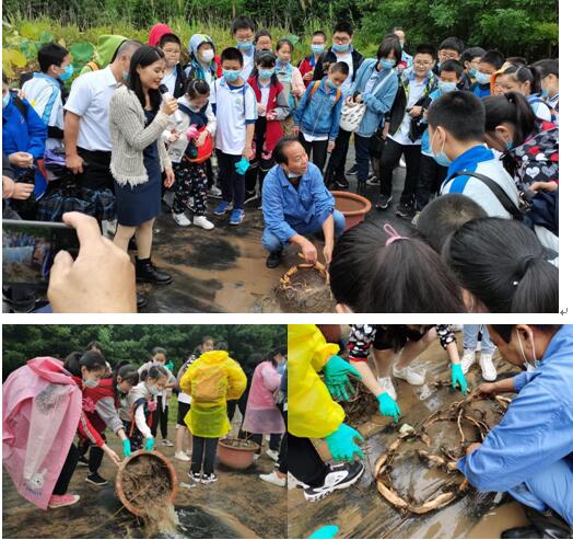 “探秘――《爱莲说》里藏有多少个荷花之谜”――记2020全国科普日武汉市园林科学研究院 市民园林学校科普公益活动