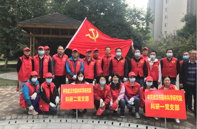 小区绿化提档升级  老旧社区焕然一新
