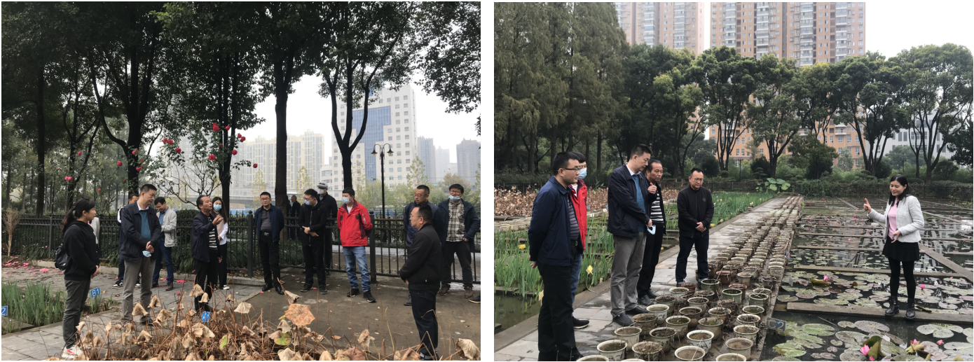 武汉市园林绿化企业协会等单位来我院考察交流