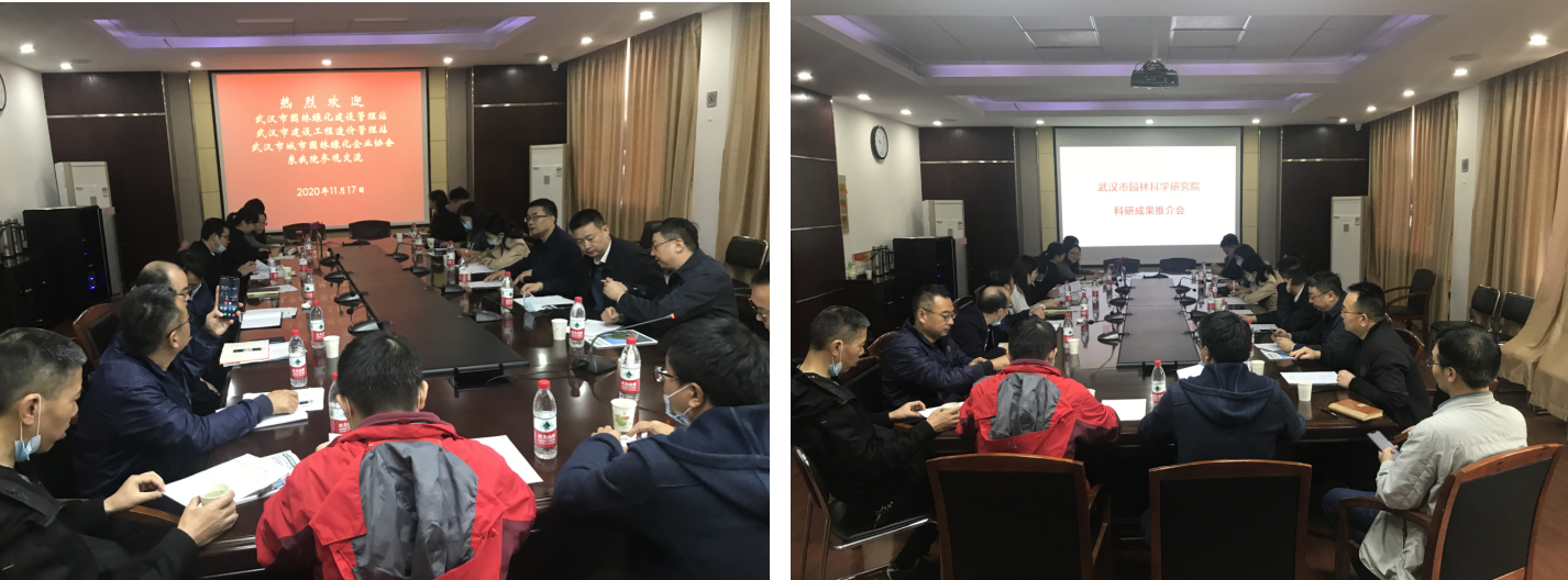 武汉市园林绿化企业协会等单位来我院考察交流