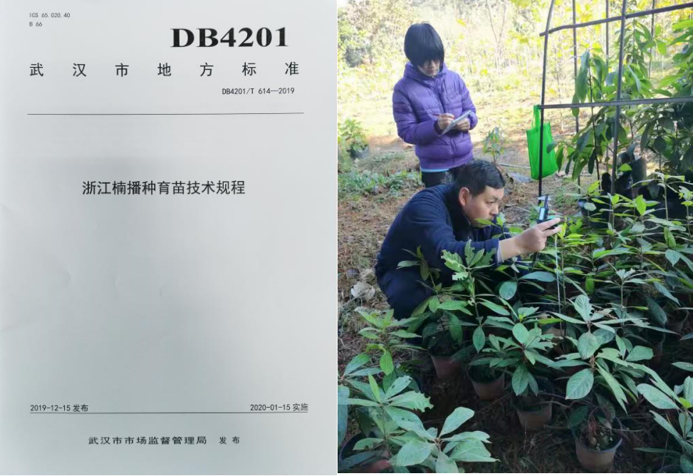 “樟科楠属植物的开发应用”课题顺利通过验收