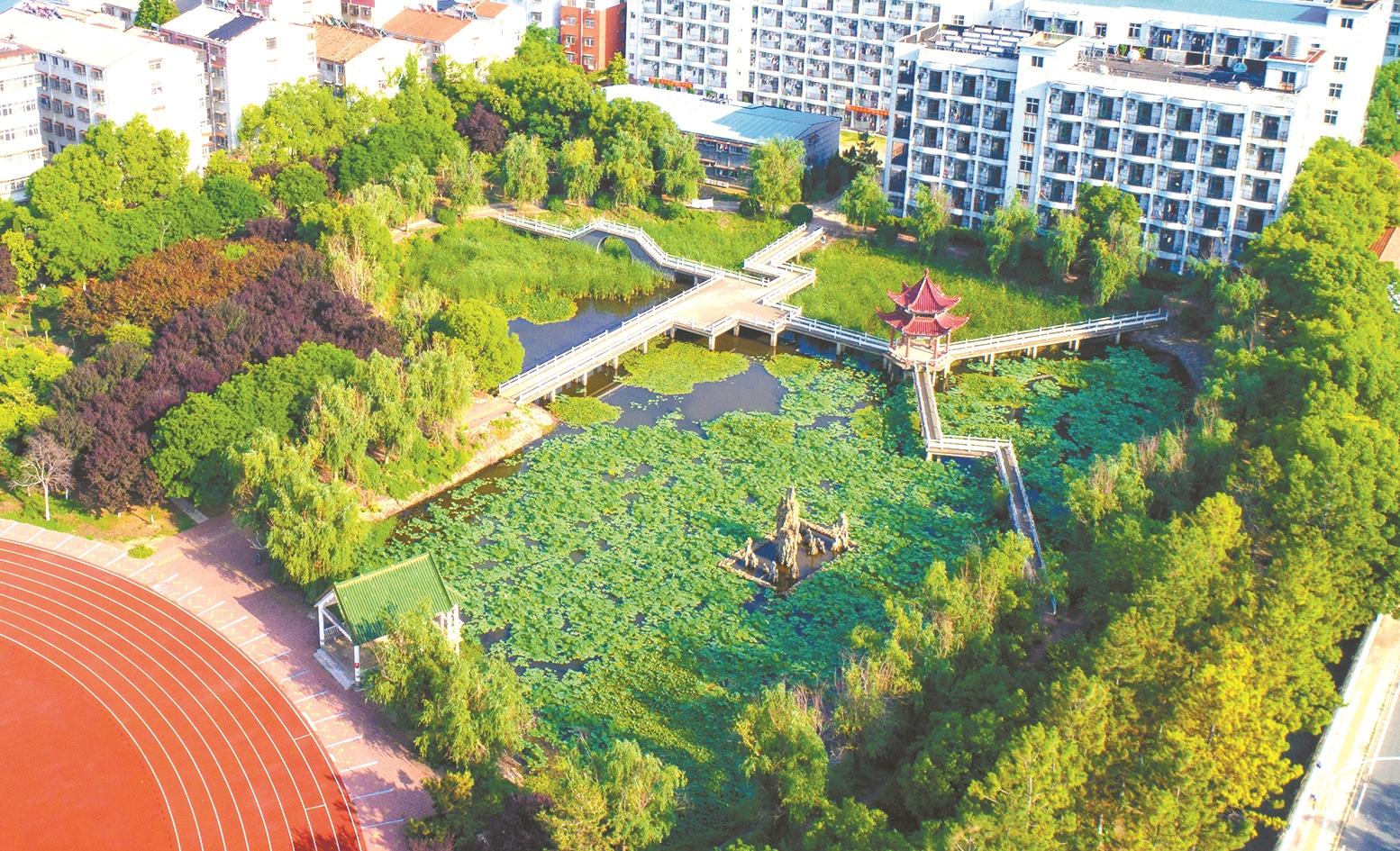 【森林城市系列五】绿满梦泽 美丽云梦