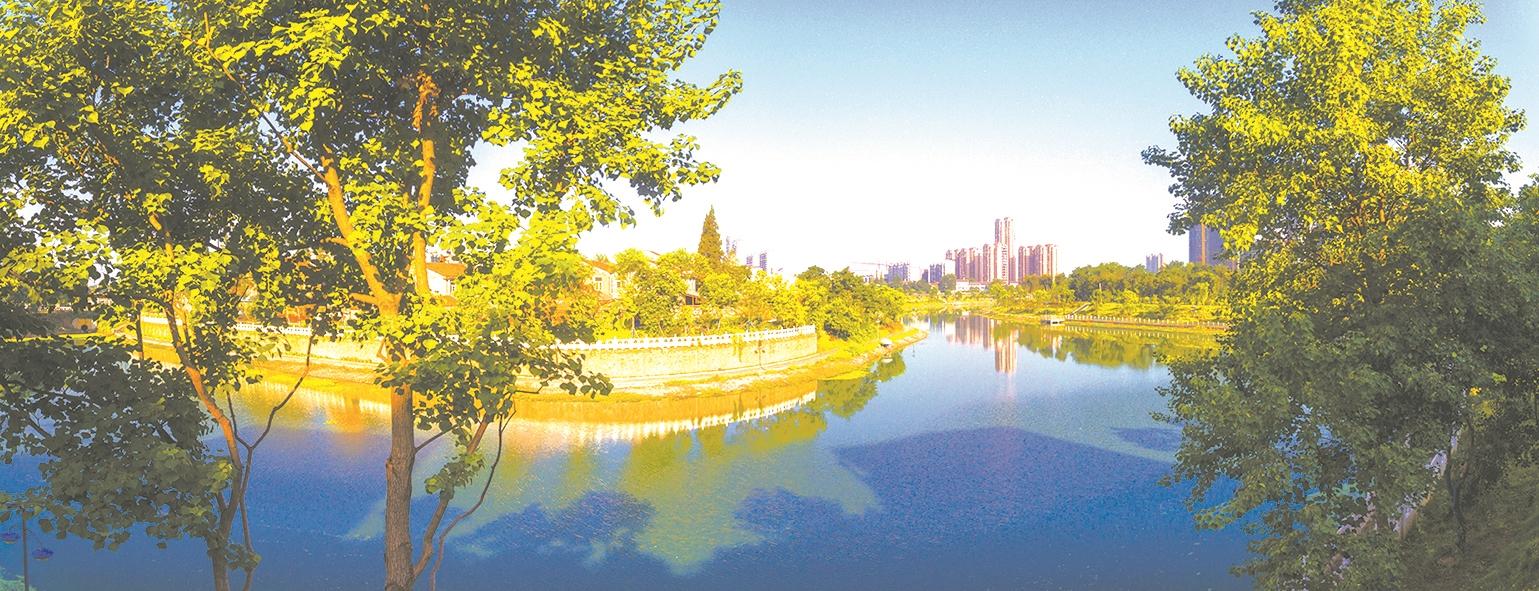 【森林城市系列二】林水相依 宜居应城