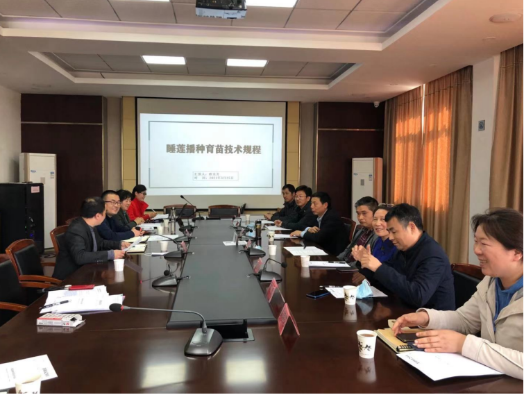 市园科院编制武汉市地方标准《睡莲播种育苗技术规程》获专家组审定通过