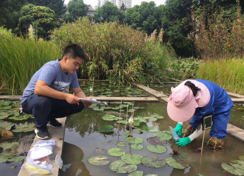 市园科院编制武汉市地方标准《睡莲播种育苗技术规程》获专家组审定通过