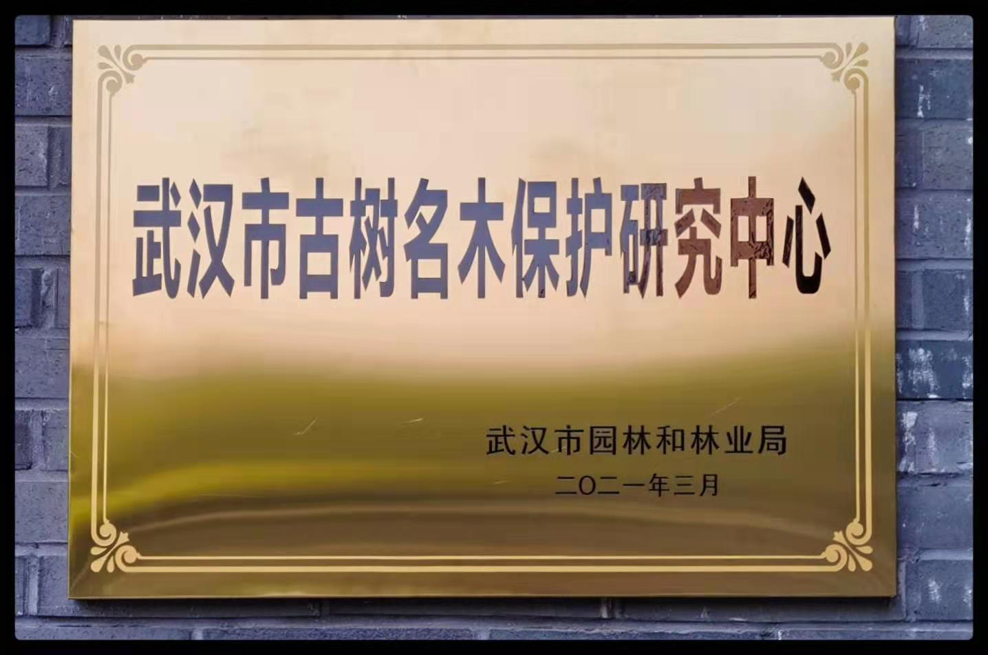 市园科院成立武汉市古树名木保护研究中心