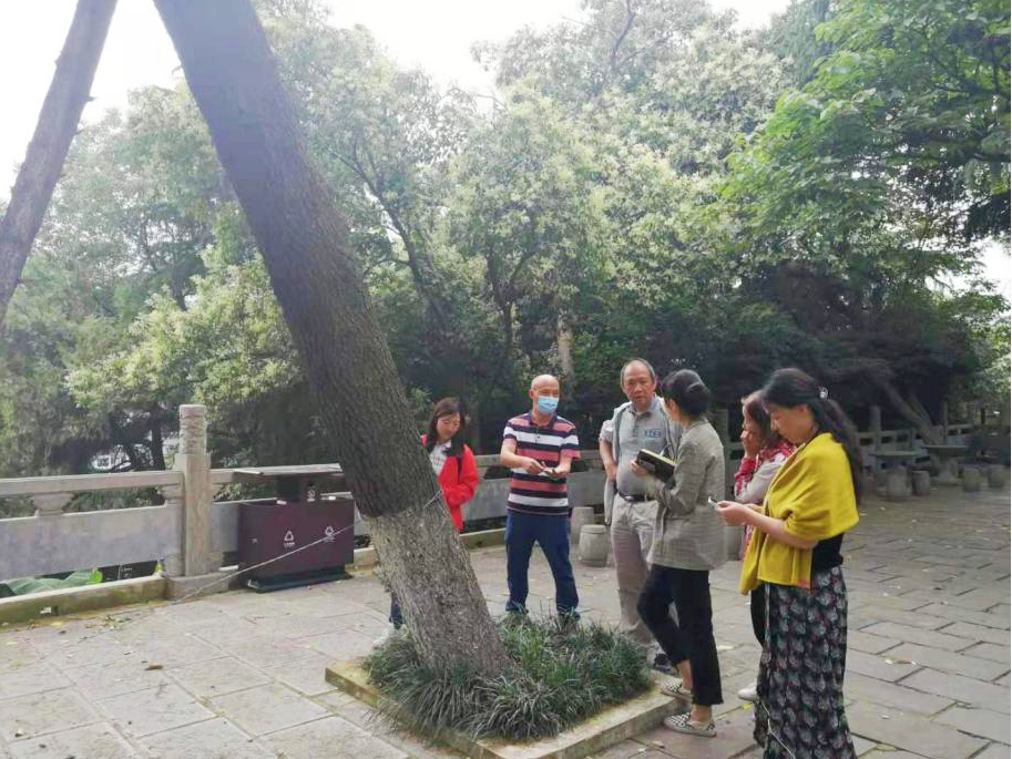问诊龟山行，号脉山上松