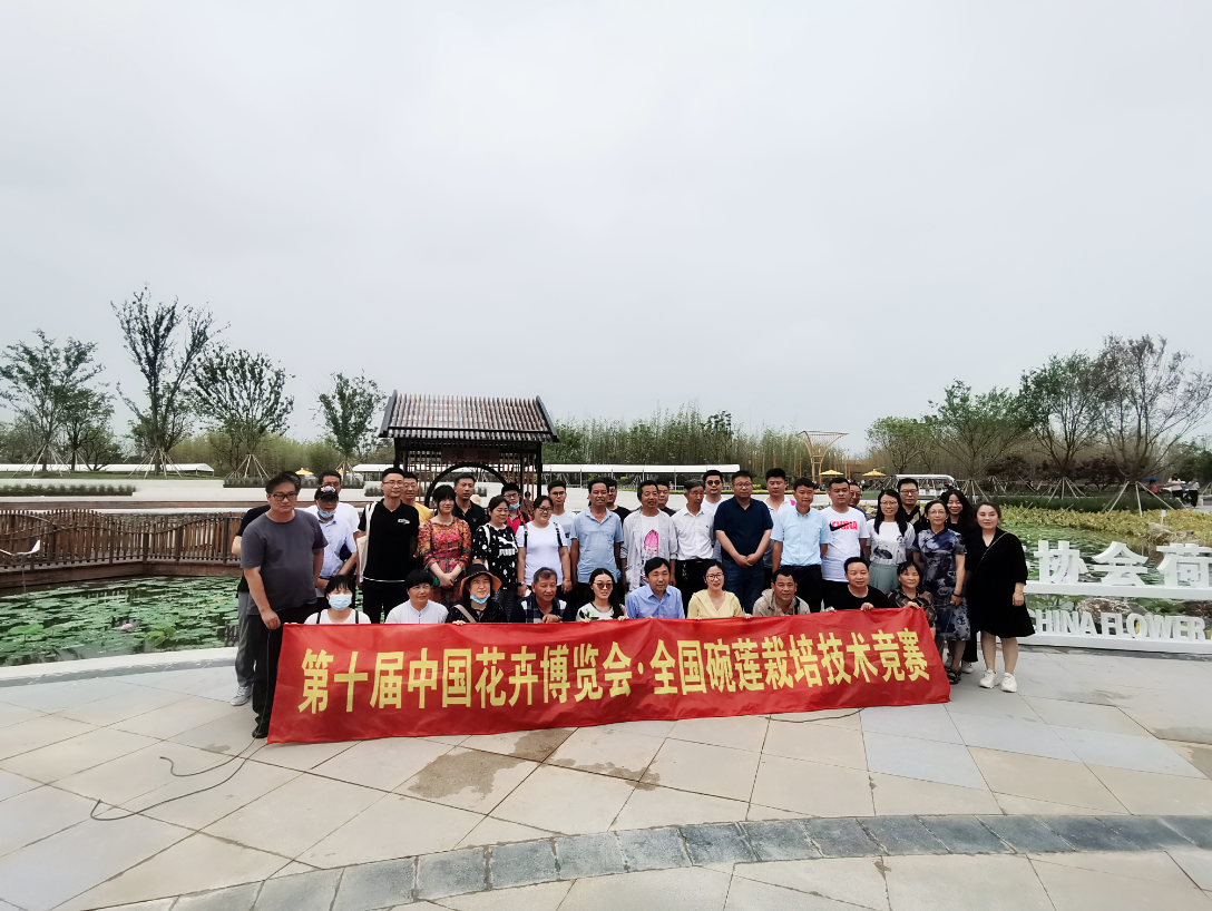 携荷往沪比技艺，勇夺花魁载誉归