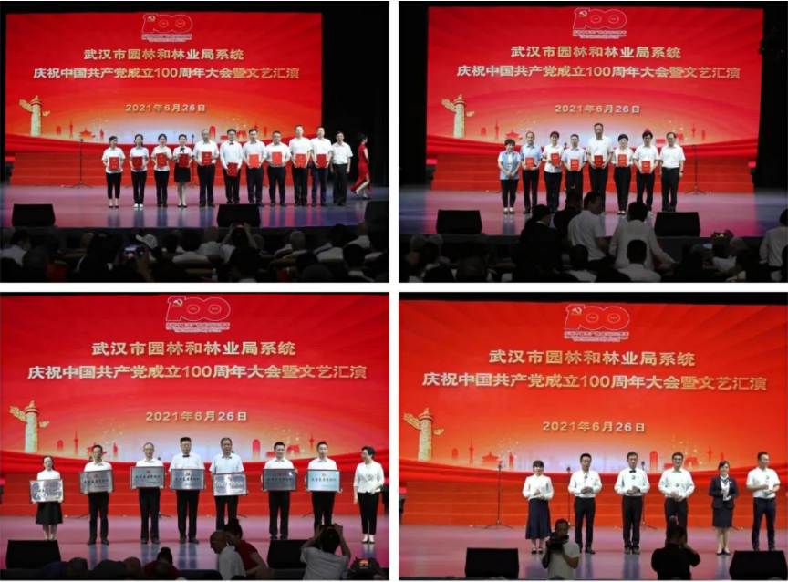 忆百年，庆华诞，奋进绿色新征程