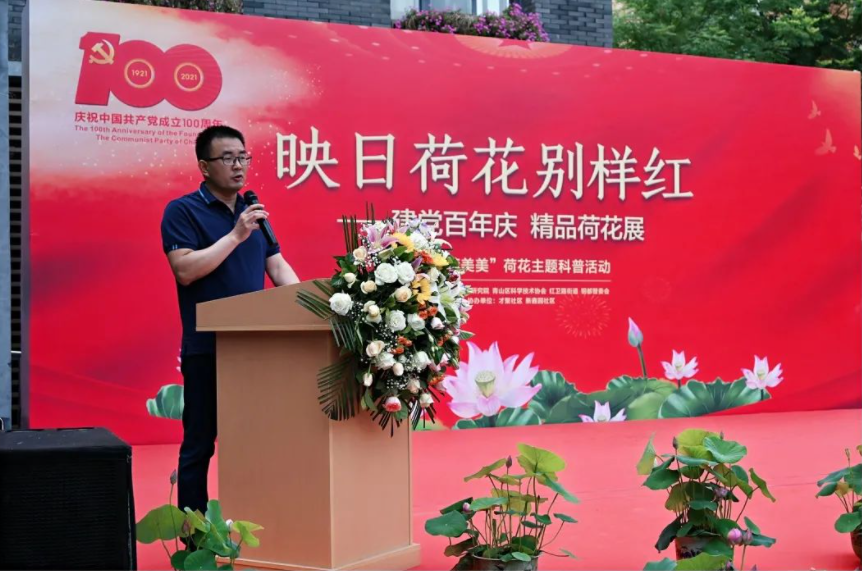 建党百年芳华盛，映日荷花别样“红”
