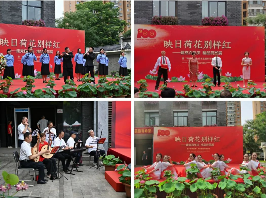 建党百年芳华盛，映日荷花别样“红”