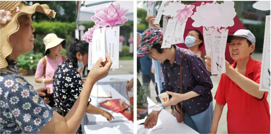 建党百年芳华盛，映日荷花别样“红”