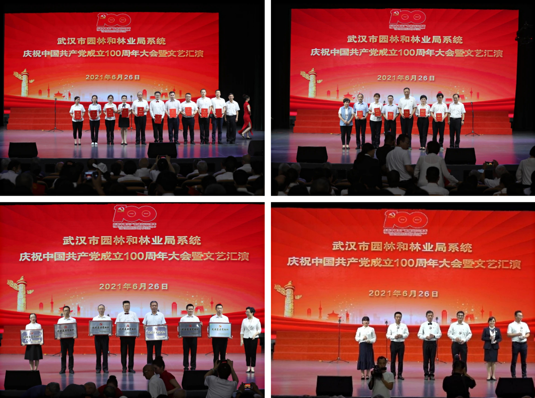 我院荣获局系统建党百年庆表彰名单出炉