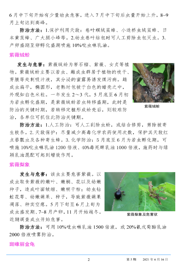 武汉园林病虫害预测预报 2021年第5期