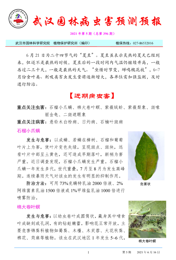 武汉园林病虫害预测预报 2021年第5期