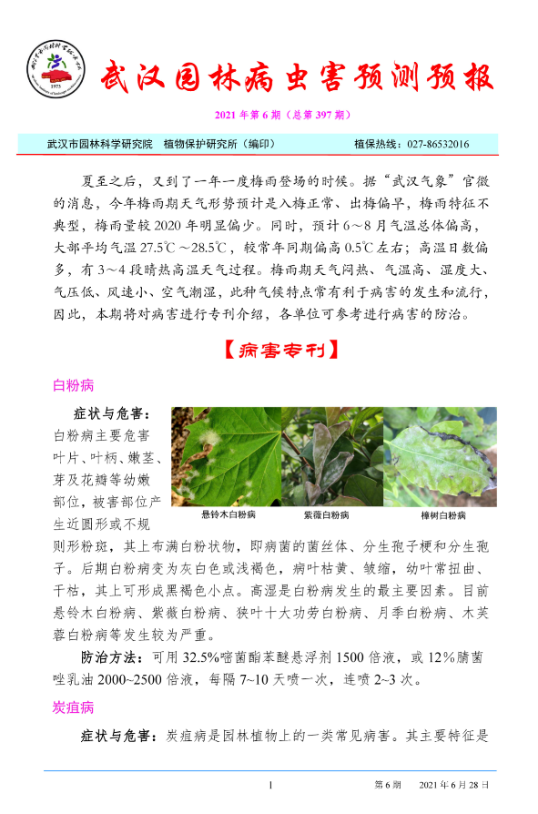 武汉园林病虫害预测预报 2021年第6期