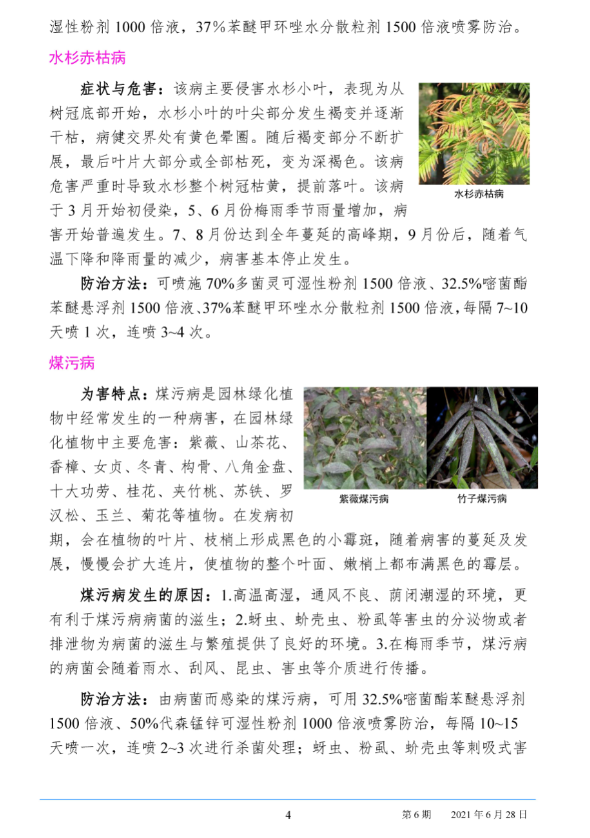 武汉园林病虫害预测预报 2021年第6期