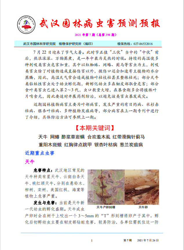 武汉园林病虫害预测预报 2021年第7期