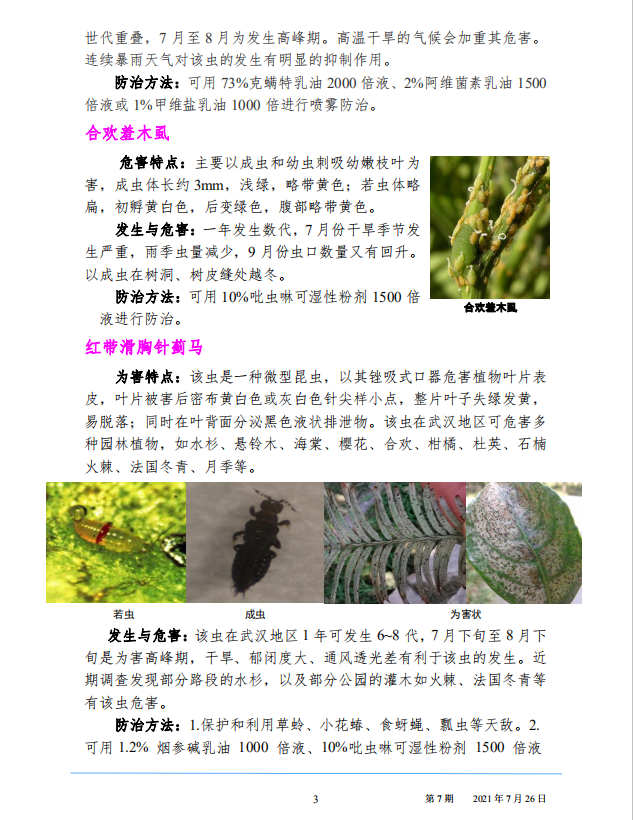 武汉园林病虫害预测预报 2021年第7期