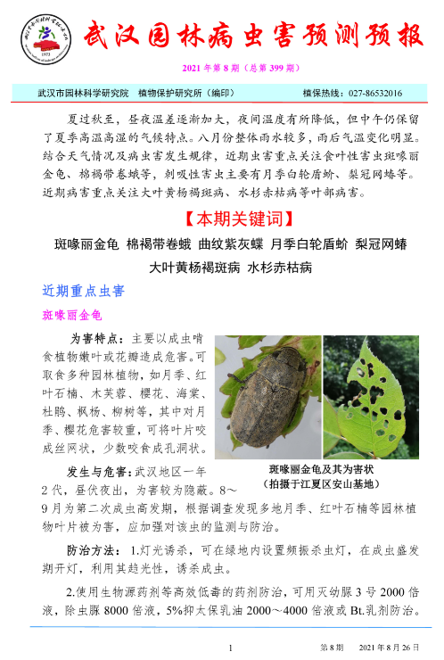 武汉园林病虫害预测预报 2021年第8期