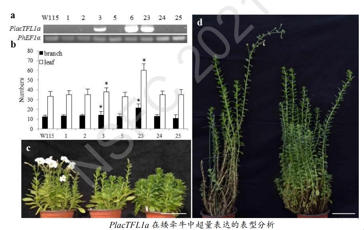 我院课题获国家自然科学基金青年科学基金项目立项