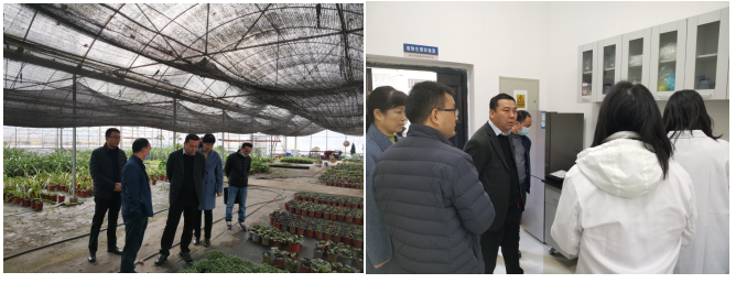 市局副局长肖国华来我院考察调研