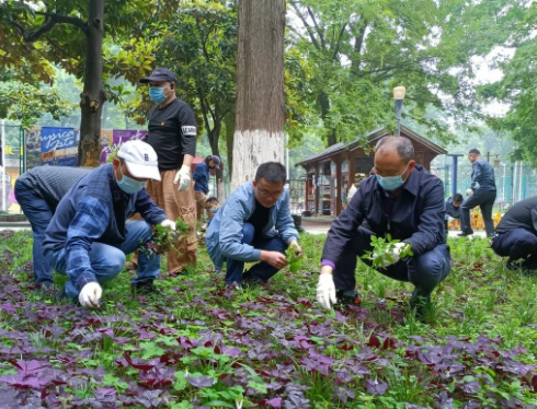 公园遇见美好 助力景观提升