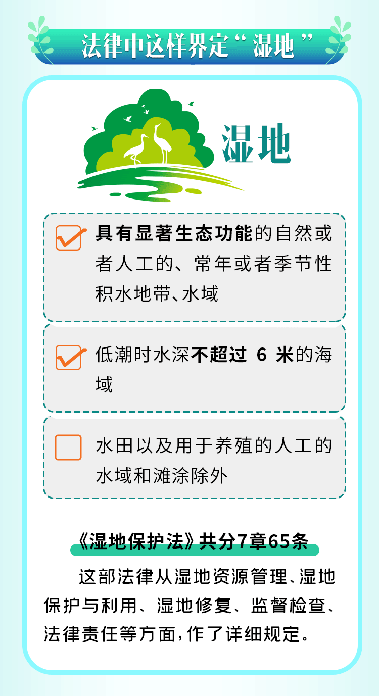 《中华人民共和国湿地保护法》正式施行