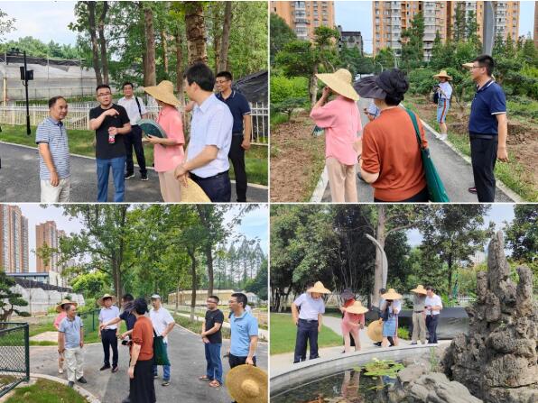 中国花卉协会领导、专家来市园科院调研国家樱花种质资源库